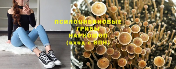 таблы Арсеньев