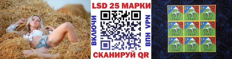 где купить наркотик  Заозёрск  Марки NBOMe 1500мкг 